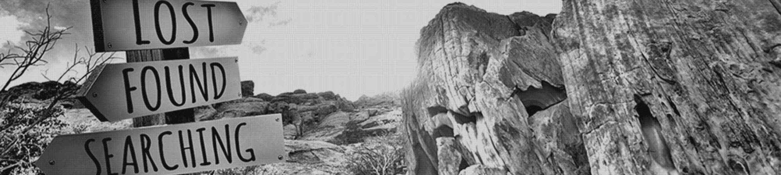 Organisatieontwikkeling